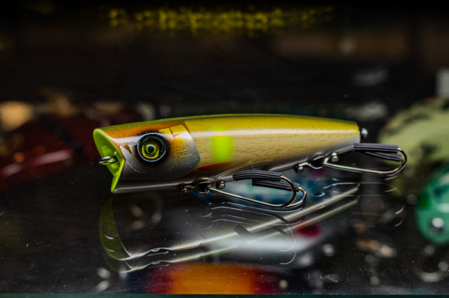 ポンズ新! MoonStar｜【NEW BALANCE / ニューバランス】NB WARISTX4 D