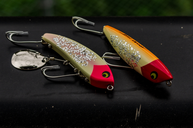 ジェニュインレコード・キューブレック『イグアナ』と『シャイニング式