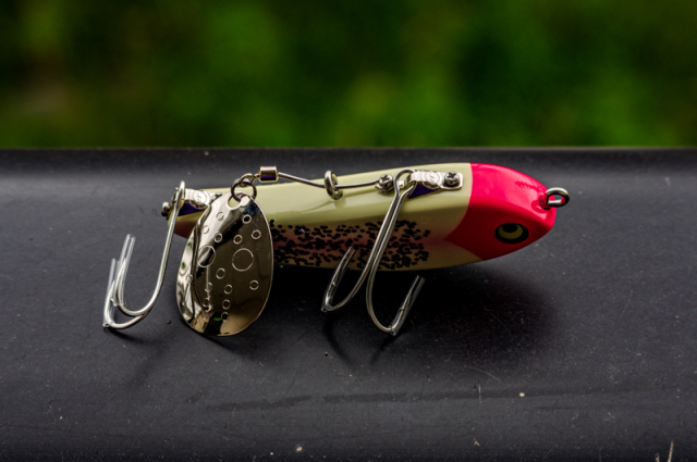 ジェニュインレコード・キューブレック『イグアナ』と『シャイニング式