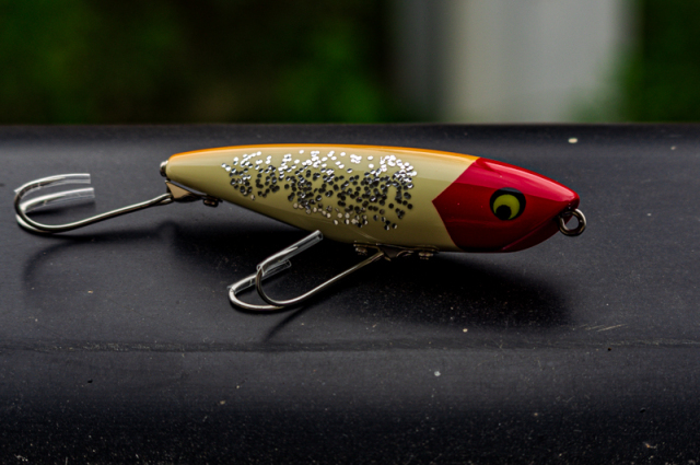 ジェニュインレコード・キューブレック『イグアナ』と『シャイニング式