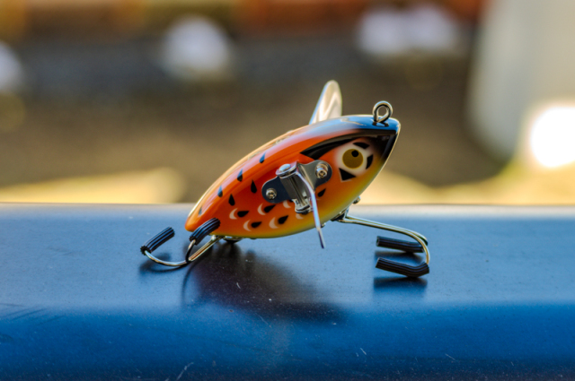 SABBATH FISHING『Tim Bird（ティムバード）』