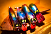 工房青嶋『トップウォータールアー各種』 Color : Dragon