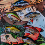 tumuji『だるま鯰』