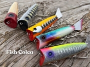 Quality Life『Fish Colca(フィッシュ コルカ)』