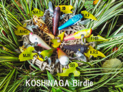 ISONOFACTORY (イソノファクトリー) 『KOSHINAGA Birdie（コシナガバーディ）』