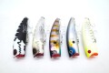 津波ルアーズ x Sum Lures『SUM POPPER(サムポッパー)』
