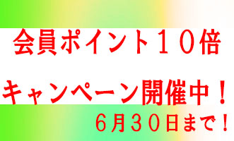 ポイント10倍６月