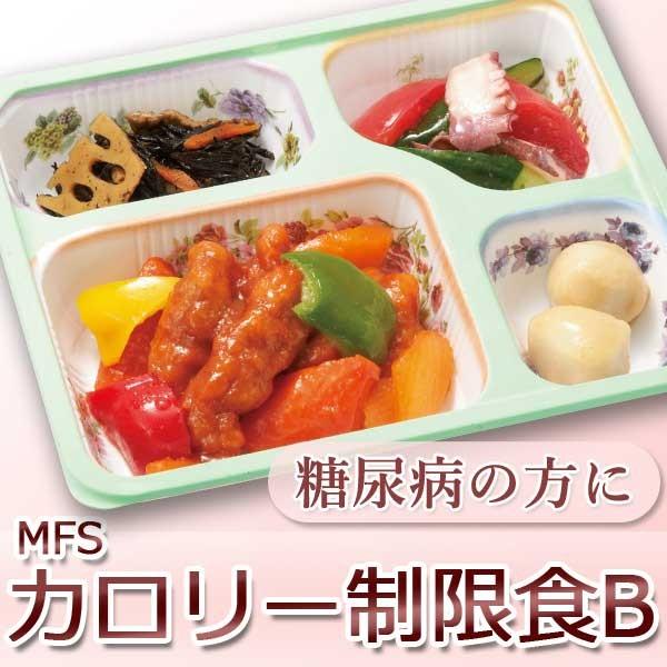 定期コース｜MFS カロリー制限食B