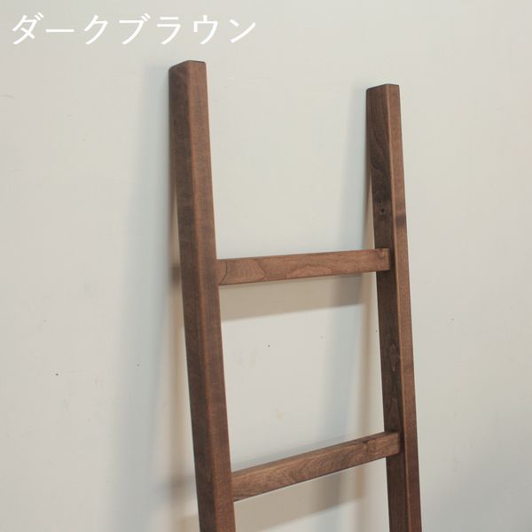 ディスプレイラダー・Sサイズ