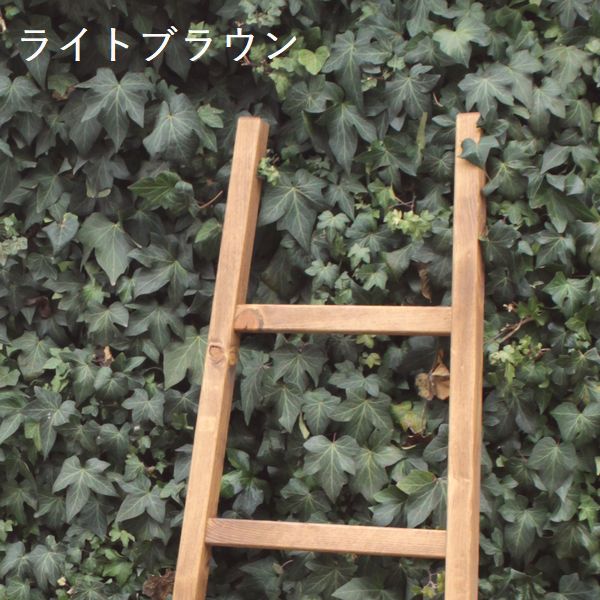 ディスプレイラダー・Sサイズ