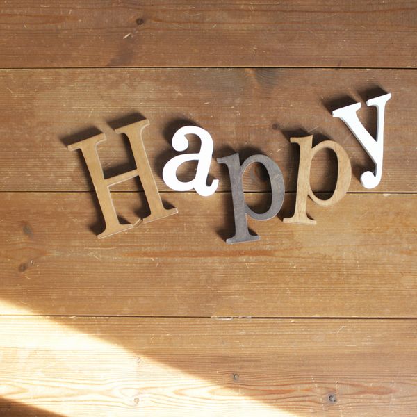 合板・HGP明朝体