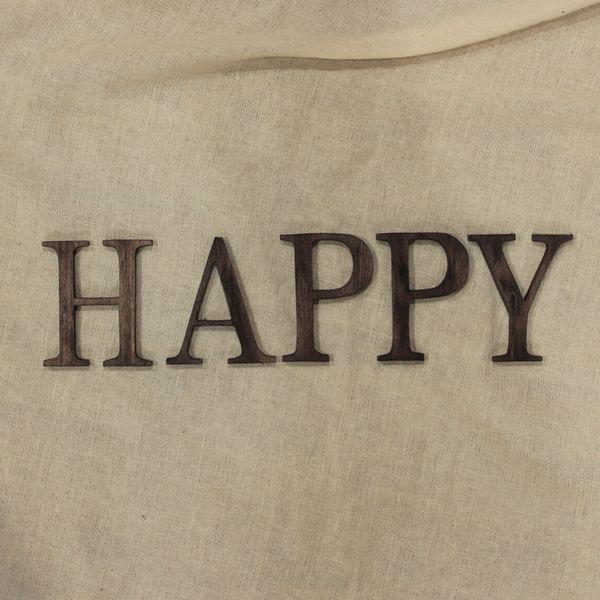 合板・HGP明朝体