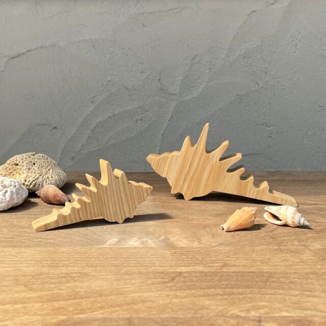 瞬間的お値下げ❣️木製サイドテーブル 貝殻装飾 楽天市場】【あす楽】 置物 飾り貝殻 シェル オブジェ 10817-800-067