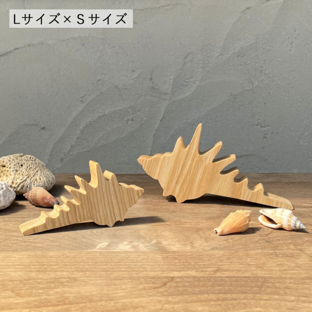 貝殻 大幸] 中国美術 七宝焼の菊花画茶壺 蓋物 良品 煎茶具 古玩 北京