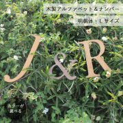 アルファベット＆ナンバーオブジェ・合板・明朝体・Ｌサイズ(高さ約18cm基準)