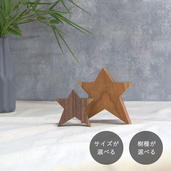 星 ナチュラル オブジェ