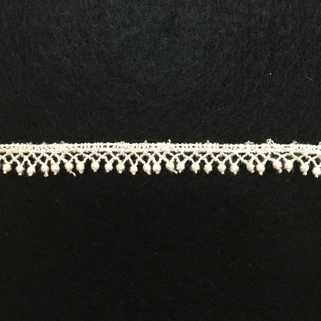 【レース】【生成り】【レターパックライト可】　エンブロイダリーレース6193