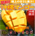 2018mango家庭用５ｋｇ