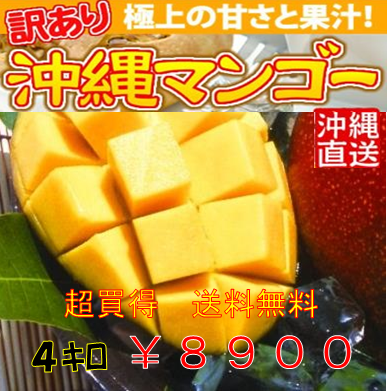 沖縄産「訳けありマンゴー 4kg」（8900円 8％税込・送料無料）