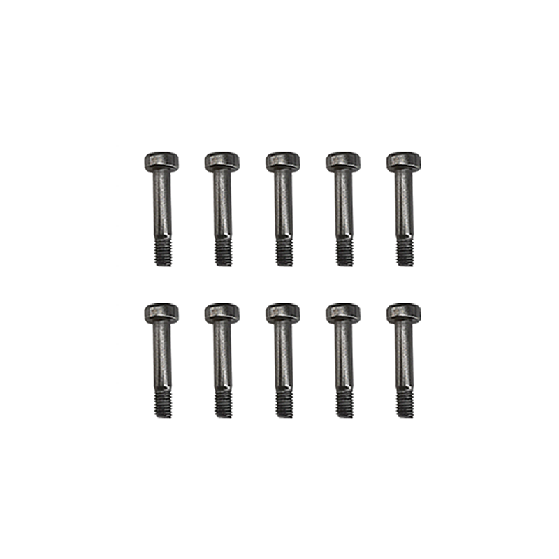 RS4 スクリューセット（M2×10-L4 キャップボルト）10本入り　【GT020095】