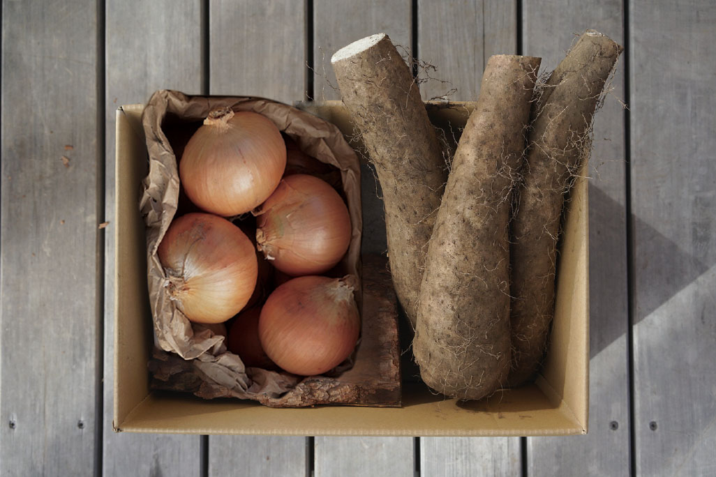 玉ねぎセット