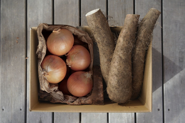 玉ねぎセット