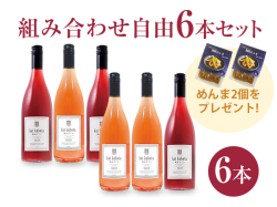 商品写真_カイ・クボタ6本セット
