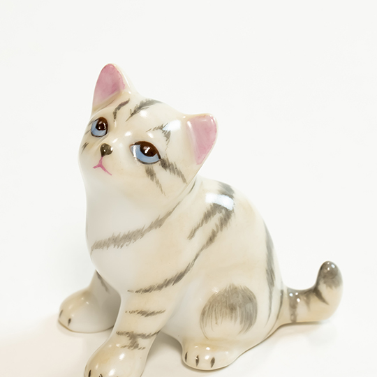 ファンシー] 子猫 ルッキングアップ