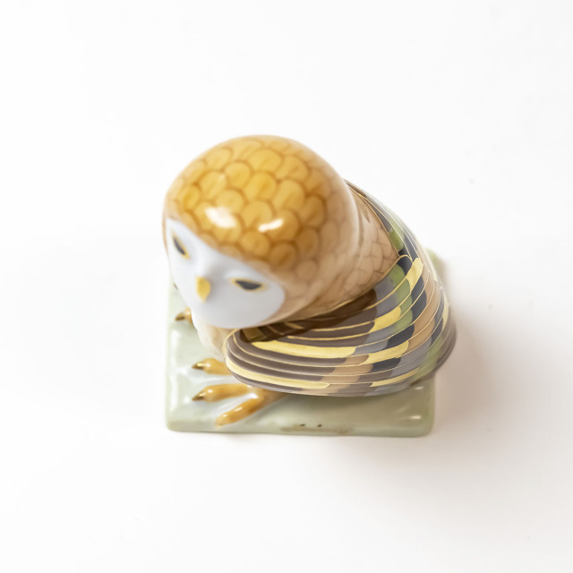 世界のふくろう] オールネーのふくろう