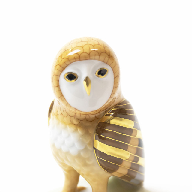 世界のふくろう] オールネーのふくろう