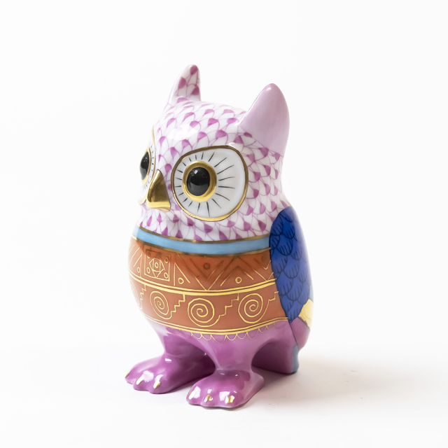 世界のふくろう] アンデスのふくろう