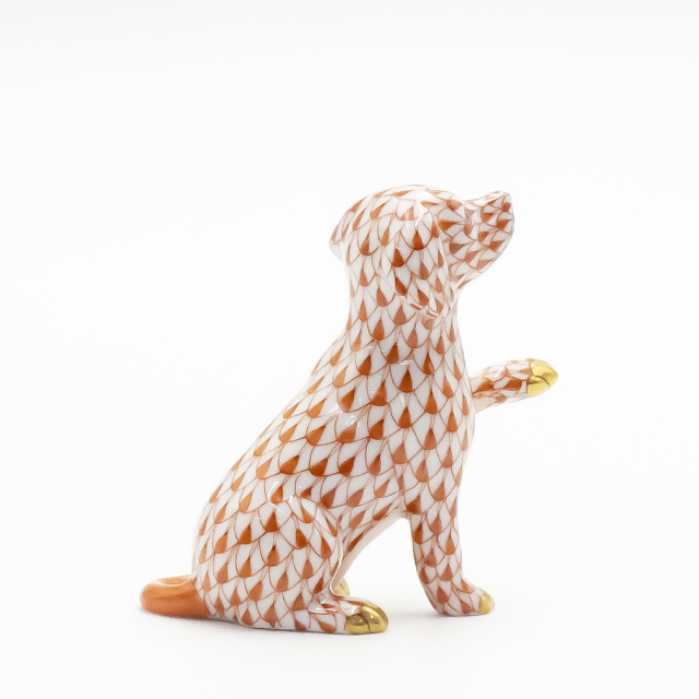 DOG COLLECTION 2024