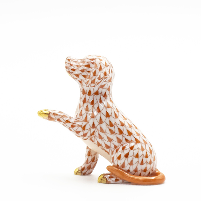 DOG COLLECTION 2024