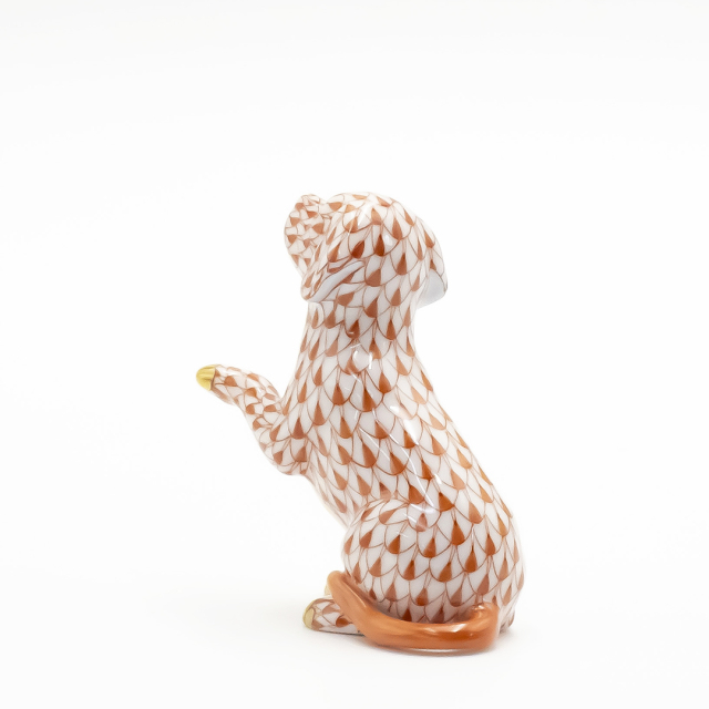 DOG COLLECTION 2024