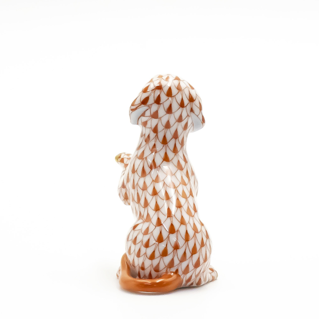 DOG COLLECTION 2024