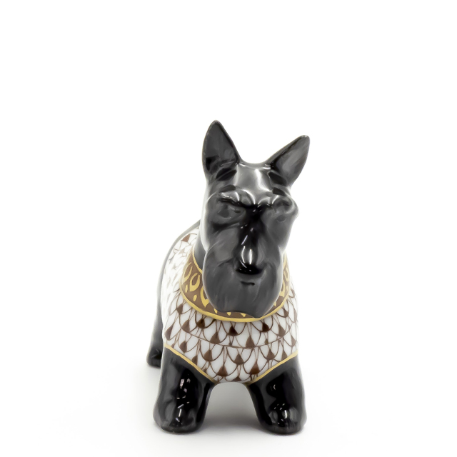 ワンダーパーク ブラウン] スコティッシュテリア