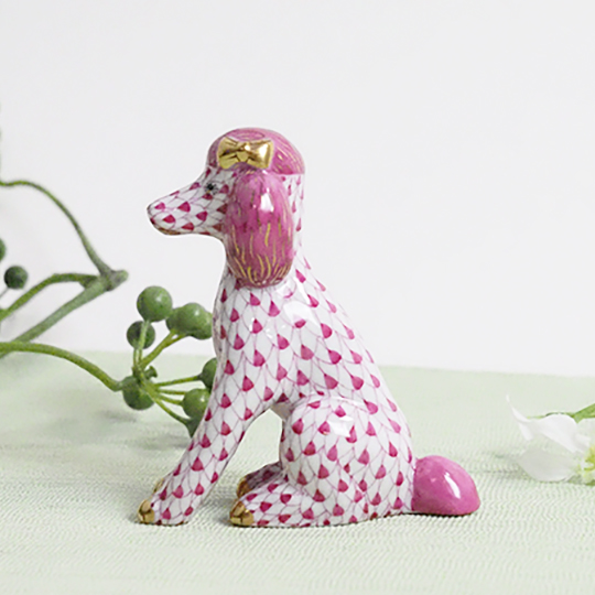 お座りトイプードル3点 お座りトイプードル3点 aflo_23121857.jpg