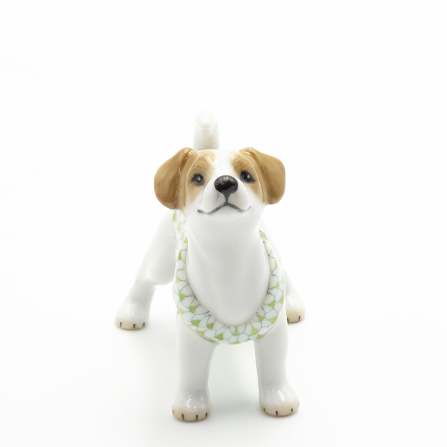 ワンダーパーク ライムグリーン] ジャックラッセルテリア