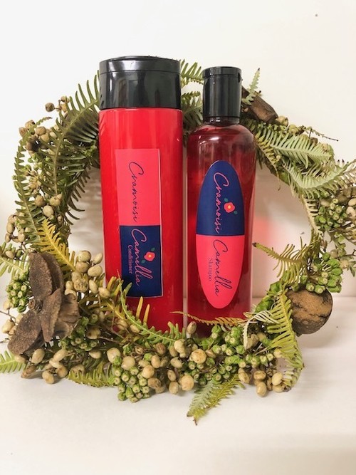 残り僅か☆アロマシャンプー　フリージア　720ml１セット 残り僅か☆アロマシャンプー フリージア 720ml1セット 2025年最新