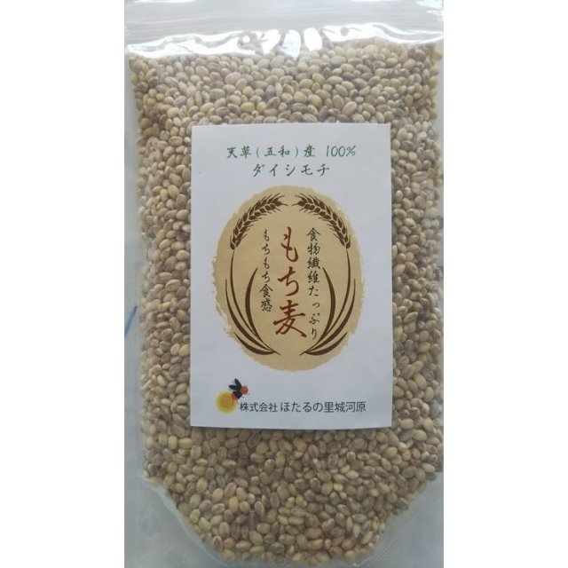 もち麦 200g ダイシモチ 天草市五和町産 産地限定 真空パック 食物繊維が豊富