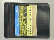 長命草（ボタンボウフウ）微粉末 35g 健康食品 無農薬 有機栽培 熊本 天草 西岡勝次商店　