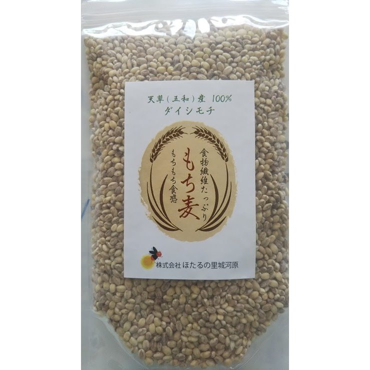 もち麦 200g ダイシモチ 天草市五和町産 産地限定 真空パック 食物繊維が豊富