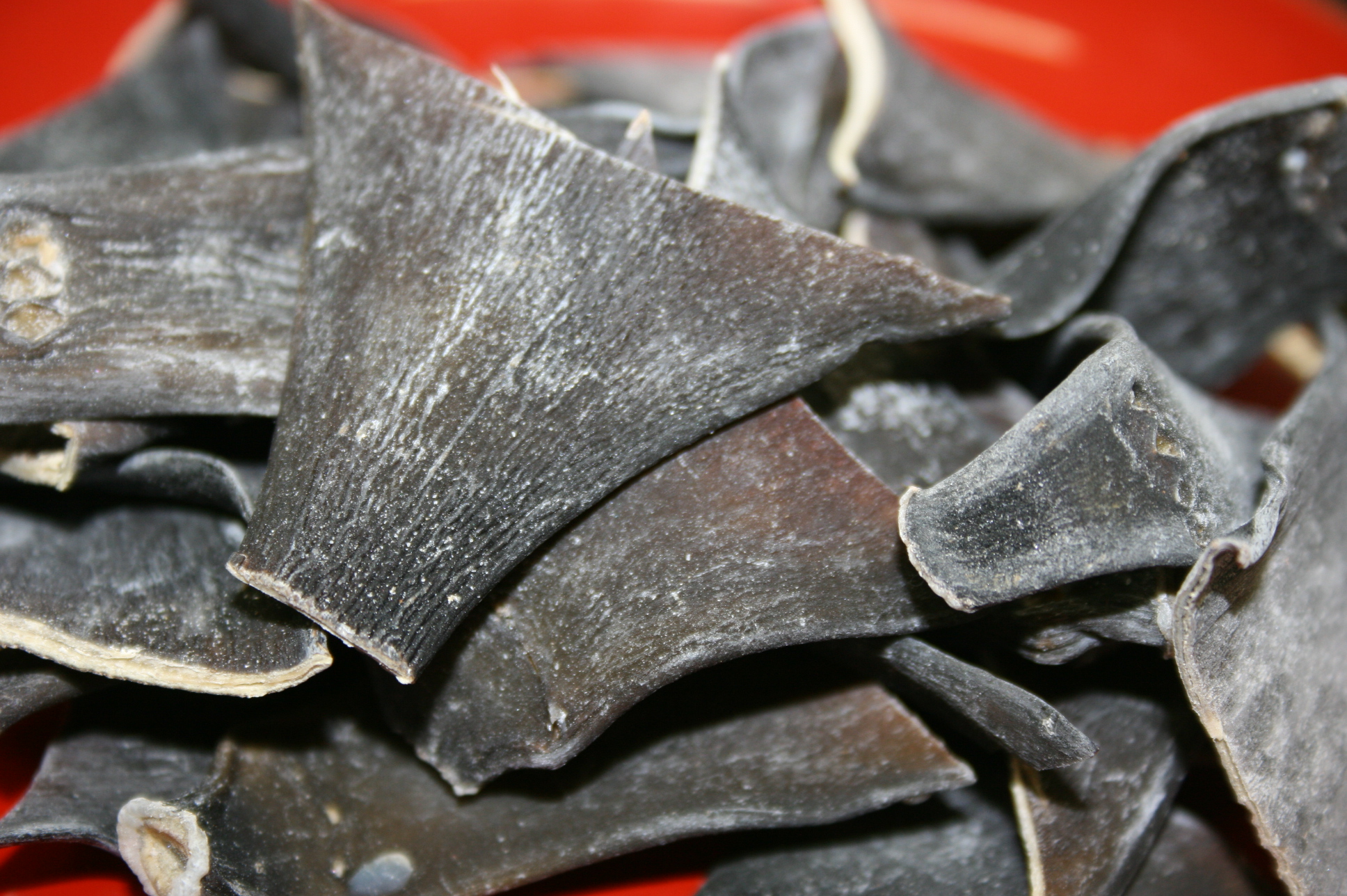 ラウス根昆布　500ｇ　【原料不足のため終売】