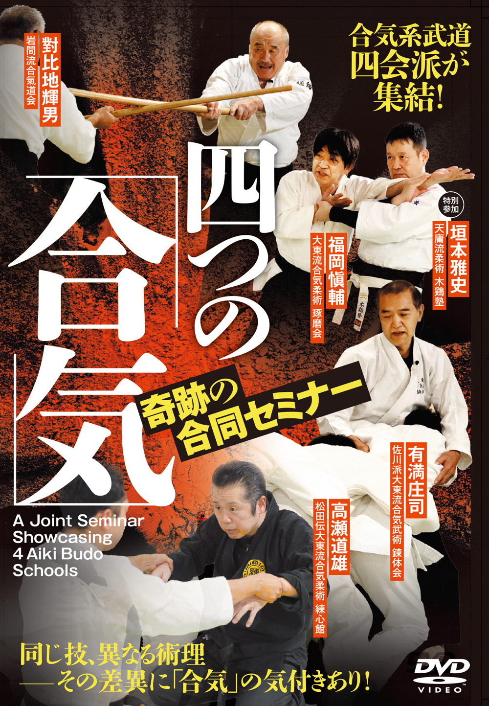 多様な DVD 大東流合気柔術 第2巻 趣味・スポーツ・実用