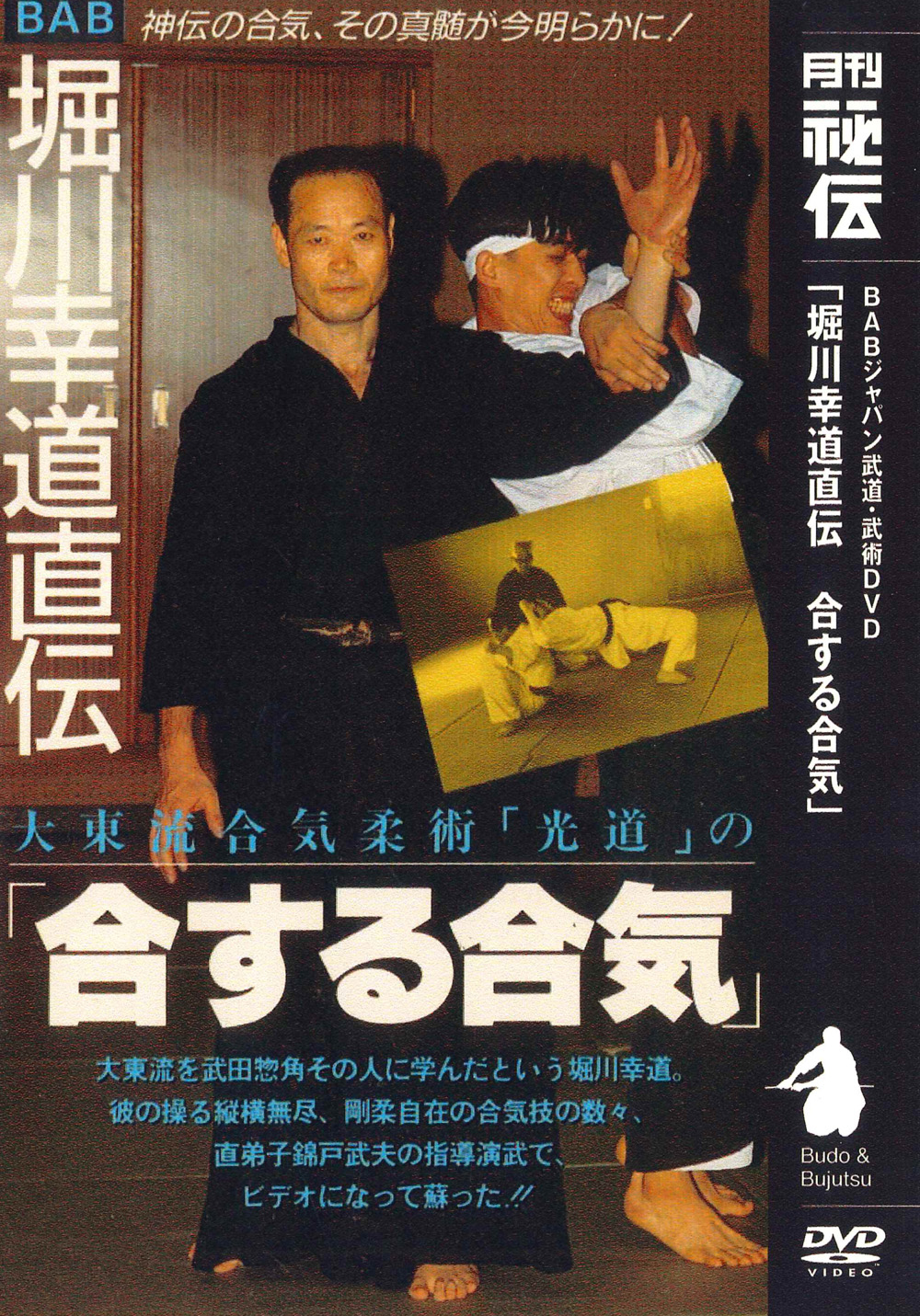 DVD　大東流合気柔術「光道」の「合する合気」
