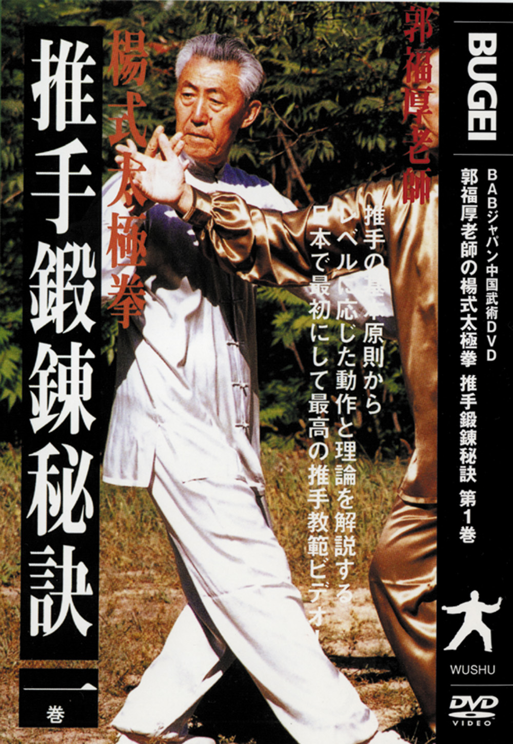 DVD　推手鍛錬秘訣 第1巻