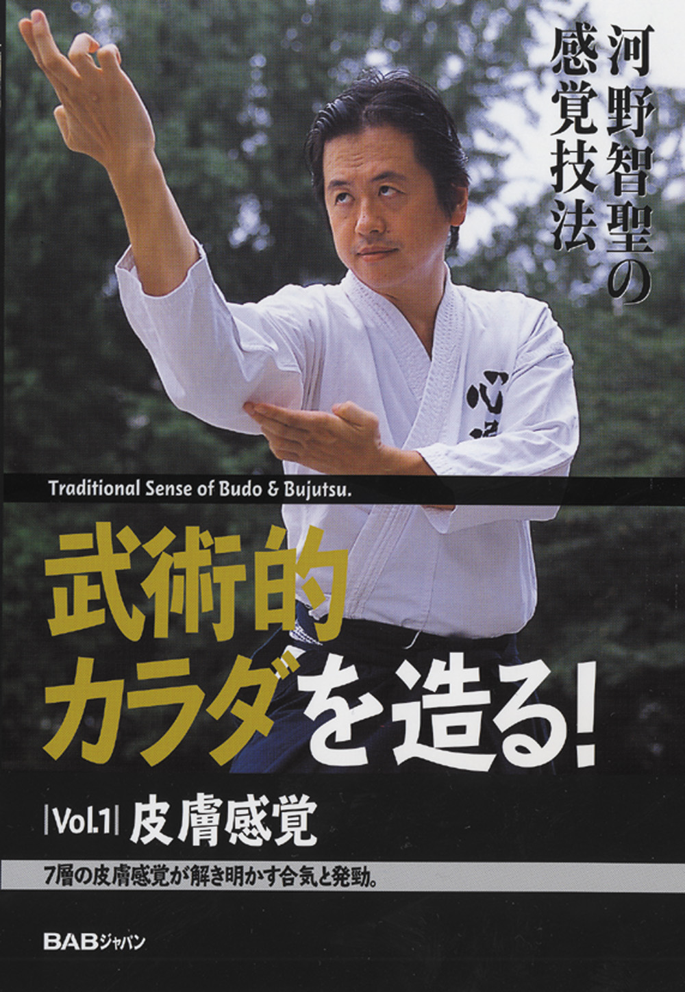 河野智聖の感覚技法 武術と整体の融合 第2巻 （DVD版） 