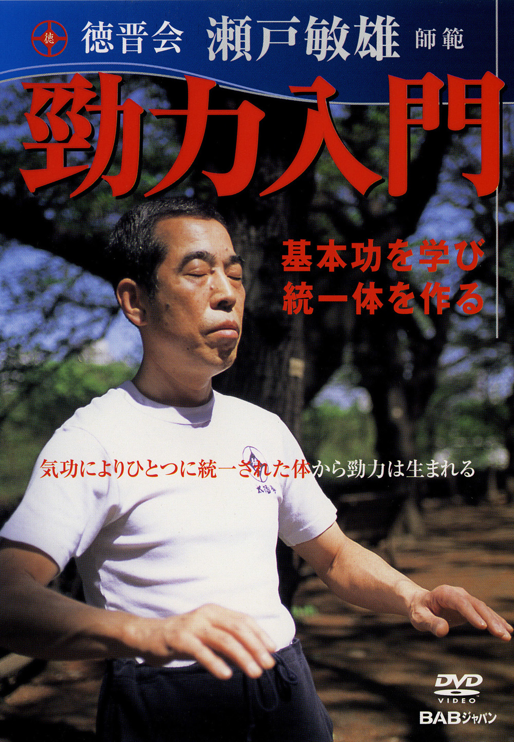 DVD　勁力入門