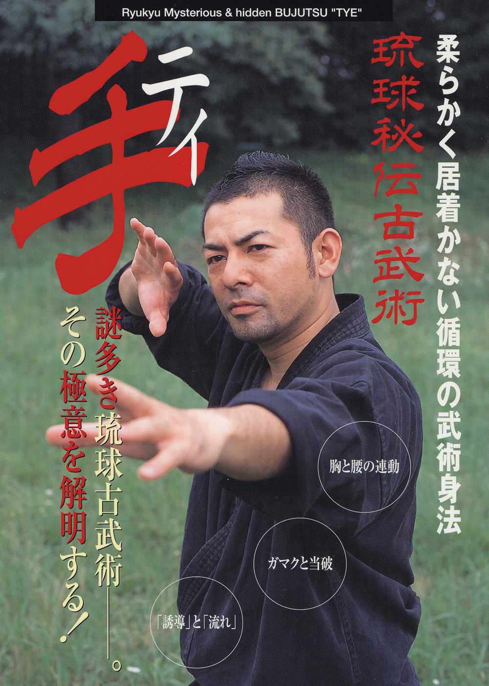 DVD　琉球秘伝古武術 手（ティ）