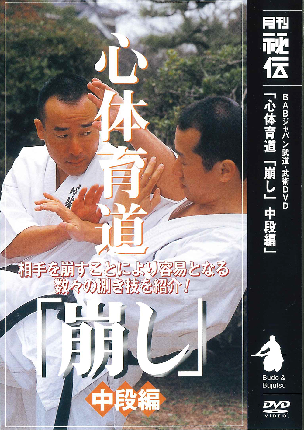 DVD　心体育道「崩し」 中段編